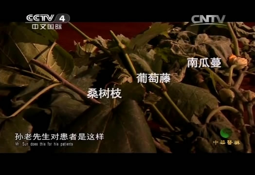 中华医药孙光周老中医的小菜园