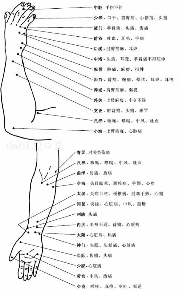 人体肩背部,胸腹部穴位图