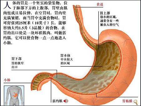 最易患癌部位3:胃