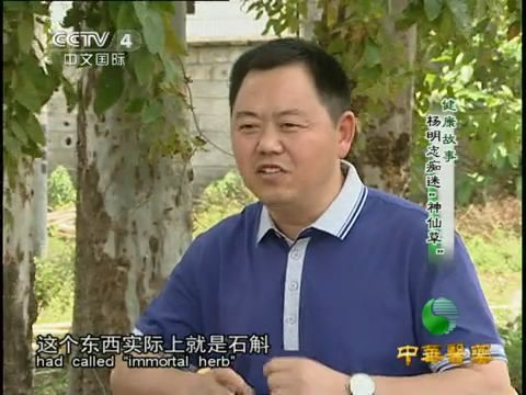 央视中华医药杨明志痴迷神仙草