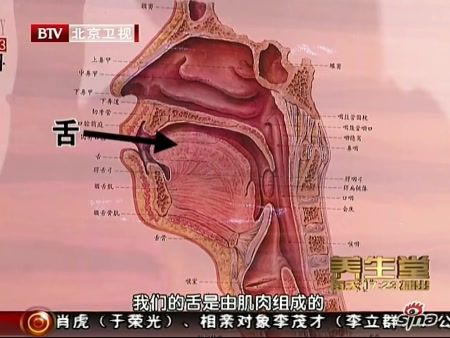 喉咙结构图喉咙里的结构图 喉咙食管结构图1; btv养生堂叶京英守护声